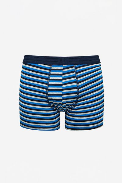 Penti Line 2 Multicolor Boxers