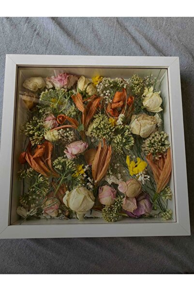 Home Anı Panosu Kuru Çiçek Çerçevesi 30 X 30 Beyaz Plastik Camlı