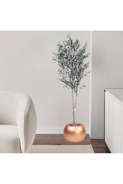 DEC31 Olive tree in a plastic pot, gold color