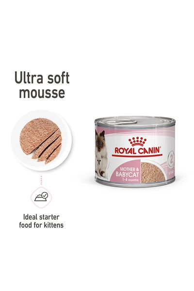 Royal Canin Feline Health Nutrition Mother & Babycat Mousse (WET FOOD - CAN) 195g Pack Of 6 Cans