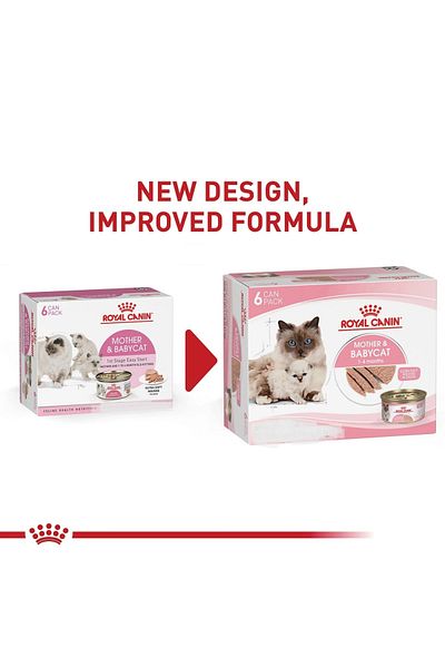 Royal Canin Feline Health Nutrition Mother & Babycat Mousse (WET FOOD - CAN) 195g Pack Of 6 Cans