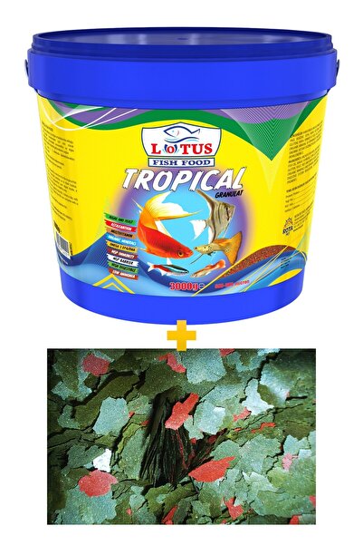 Lotus Tropical Mix 3kg Granül Kova, Flora 200gr Pul Lepistes Melek Moli Canlı...