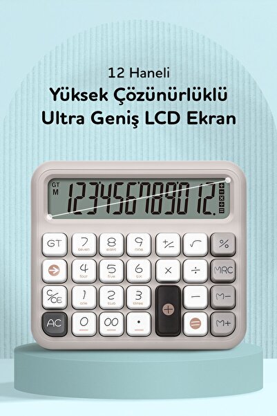 Daxi X-250 PASTEL GRİ 12 HANELİ HESAP MAKİNESİ