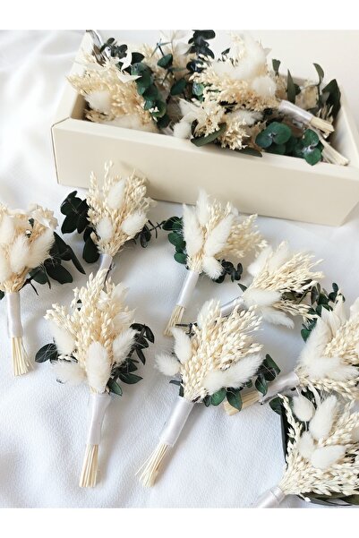 Beyma 5 Adet Damat Yaka Çiçeği Sağdıç Çiçeği