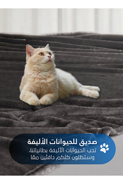 Master Home Textile Lightweight Velvet Blanket, 350GSM, 230x170cm Single Size, Soft All Season Flannel for Bed & Sofa