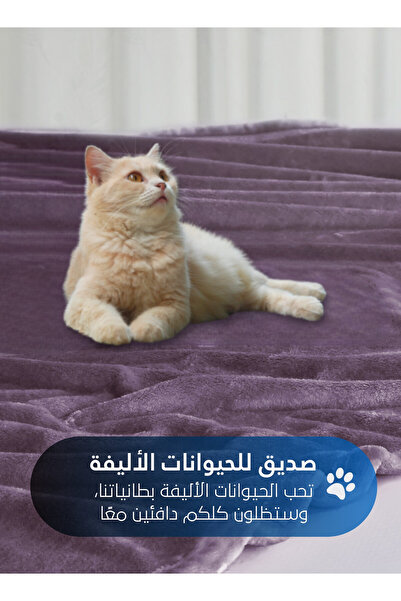 Master Home Textile Lightweight Velvet Blanket, 350GSM, 230x170cm Single Size, Soft All Season Flannel for Bed & Sofa