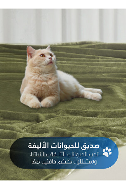 Master Home Textile Lightweight Velvet Blanket, 350GSM, 230x170cm Single Size, Soft All Season Flannel for Bed & Sofa