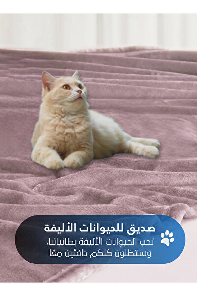 Master Home Textile Lightweight Velvet Blanket, 350GSM, 230x170cm Single Size, Soft All Season Flannel for Bed & Sofa