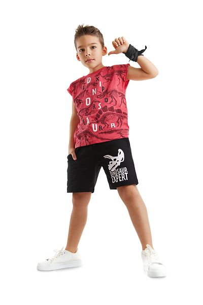 MSHB&G Dinosaur Expert Boy's Summer Sleeveless T-Shirt Shorts Set