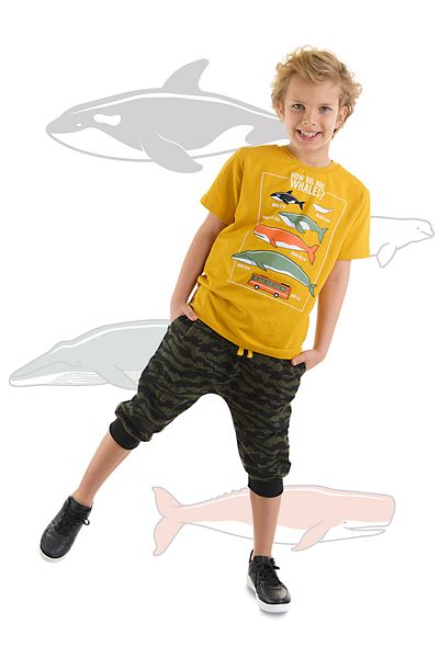 MSHB&G Boy's Summer Big Whales T-shirt and Capri Set