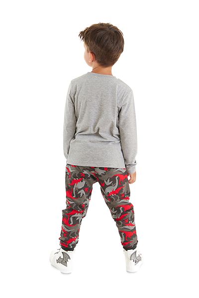 MSHB&G Triceratops Boy's T-shirt Trousers Set