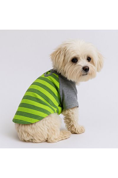 MPZ Pets Cat and Dog Apparel & Dress - Green and Grey T-Shirt