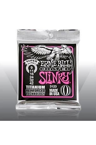 Ernie Ball P03123 Elektro Gitar Teli