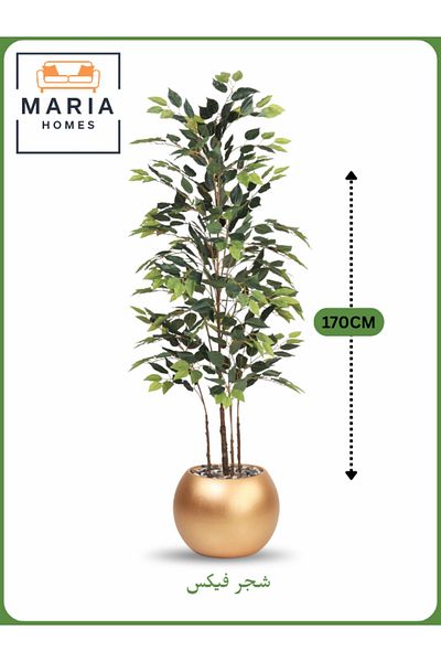 MARIA HOMES Artificial Ficus Tree 170 cm – Indoor Decorative Plant with Gold Pot