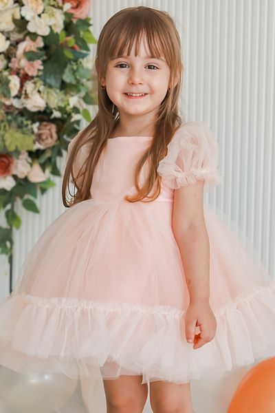 Baby Animals Baby Girl Dress Girl's Dress Birthday Party Wedding Dress Ruched Short Sleeve Lined Dress
