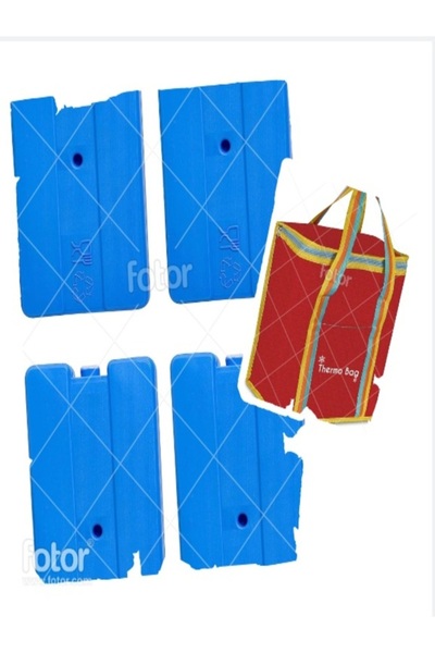 sfs elektrik حقيبة ترمس 35X35X25 سم 30.5 لتر و4 بطاريات ثلج