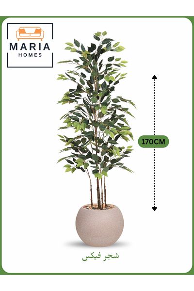 MARIA HOMES Artificial Ficus Tree 170 cm – Indoor Decorative Plant with Beige Pot