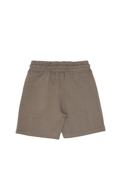 U.S. Polo Assn. Boy's Mink Knitted Shorts 50299977-Vr052
