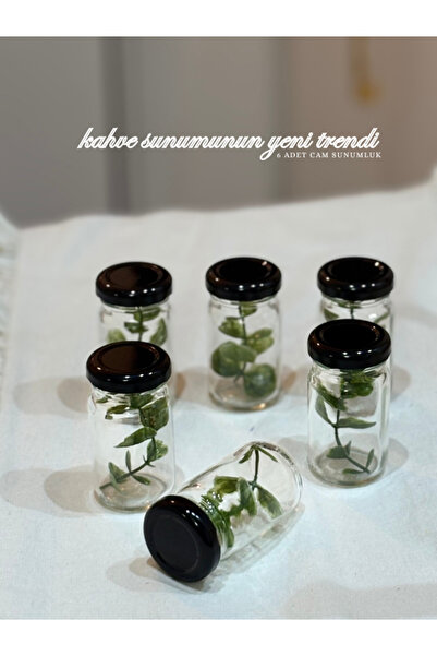 Milea Home Dekor Yeşilin Hakikati Lady Serisi Kahve Yanı Nişan Parti Organizasyon Sunumluğu 6 adet