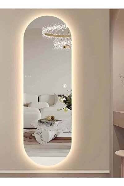 Taimi 120x80cm Oval Makeup Mirror with Side LED Light, Makeup Mirror Suitable for Dressing Room