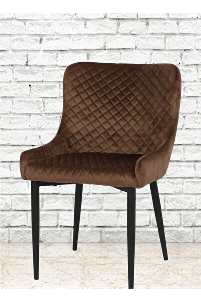 rexa كرسي مقهى متين ومريح، بسيط وأنيق، بتنجيد عصري مميز