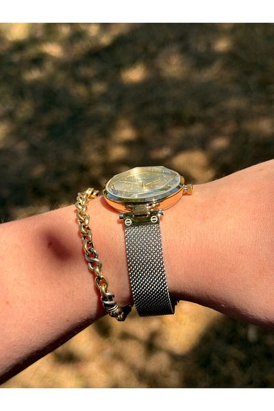 Ferrucci Silver and Gold Two-Tone Stylish Steel Mesh Cord Waterproof Women's Watch