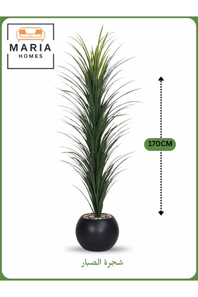 MARIA HOMES Artificial Cactus Tree 170 cm – Indoor Decorative Plant with Black Pot