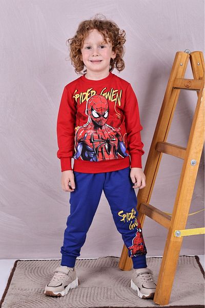 LİLLYPİCCA Boy's Character Printed Crew Neck Tracksuit Set