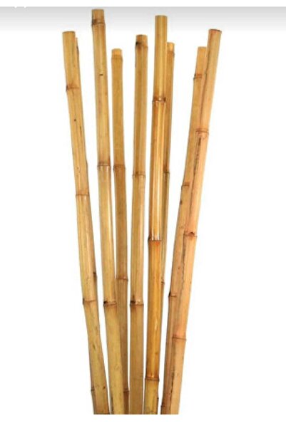 HALL BREATHE 75 cm 10'lu Bambu Bitki Destek Çubukları, doğal ve dayanıklı sır...