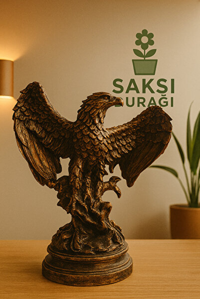 Home Polyester Kartal Biblosu