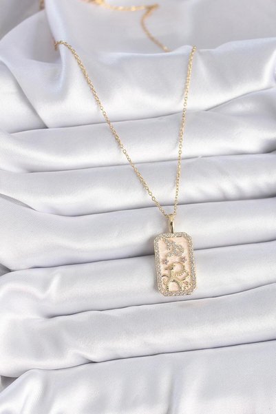 Dazzlecave 316L Paslanmaz Çelik Oğlak Burcu Kolye – Zirkon Taşlı Zarif Astroloji Kolyesi