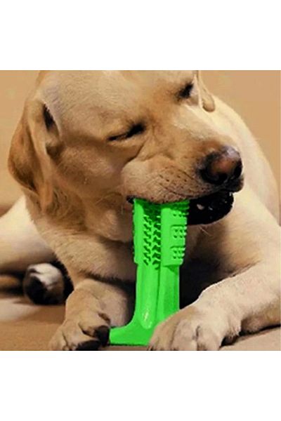 Beruflic Dog Teeth Cleaner And Scratcher Healthy Small Size Toy