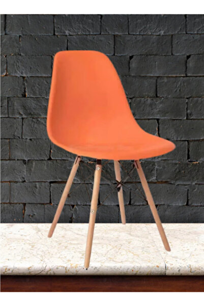 rexa كرسي طعام