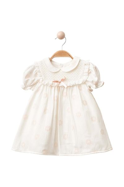 Babexi Daisy Embroidered Dress Powder