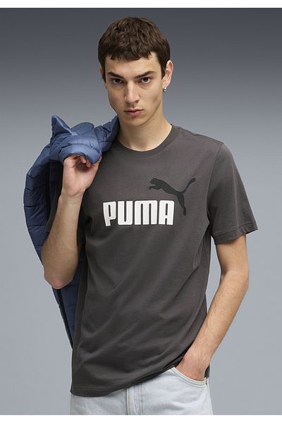 Puma Pánské tričko Essentials 2 Colour No. 1 Logo