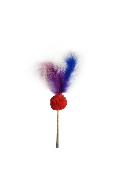 Beruflic Cat Fishing Rod Toy