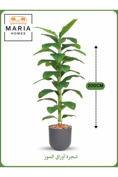 MARIA HOMES Artificial Banana Leaf Tree 200 cm – Tall Indoor Plant with Gray Pot