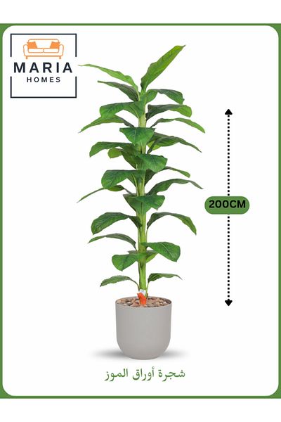 MARIA HOMES Artificial Banana Leaf Tree 200 cm – Tall Indoor Plant with Light Gray Pot