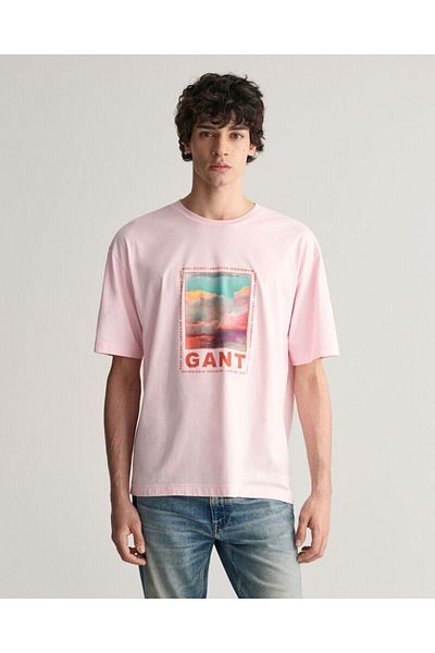 Gant Washed Graphic T-Shirt