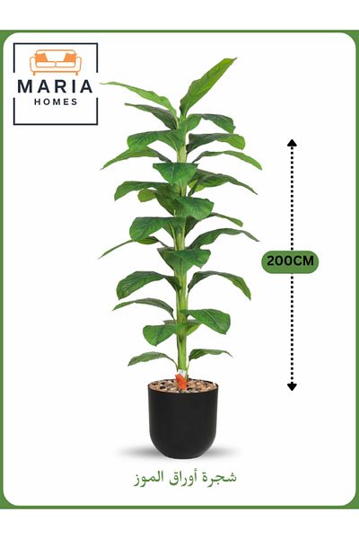 MARIA HOMES Artificial Banana Leaf Tree 200 cm – Tall Indoor Plant with Black Pot