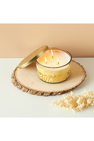 LPDP Scent.d Drywoods & Amber 3-Wick Jar Candle - 16 oz