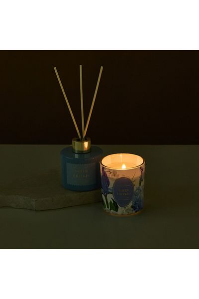 Lifestyle Floral Fantasy Sheer Fressia Reed Diffuser and Candle Gift Set