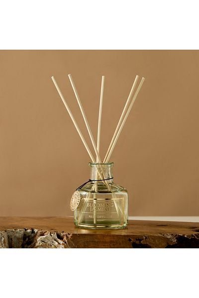 Scent.d London Scent.d Night Blooming Jasmine Reed Diffuser - 100 ml