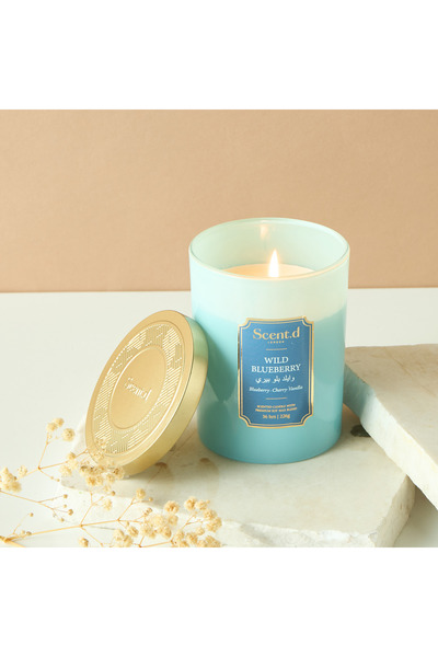 Scent.d London شمعة بفتيلة واحدة برائحة التوت البري من Scent.d - 8 أونصة