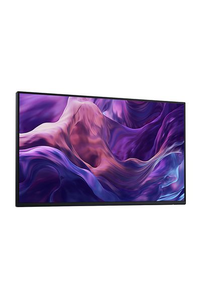 Dell Monitor fără Stand P2425HE 24" IPS 100Hz