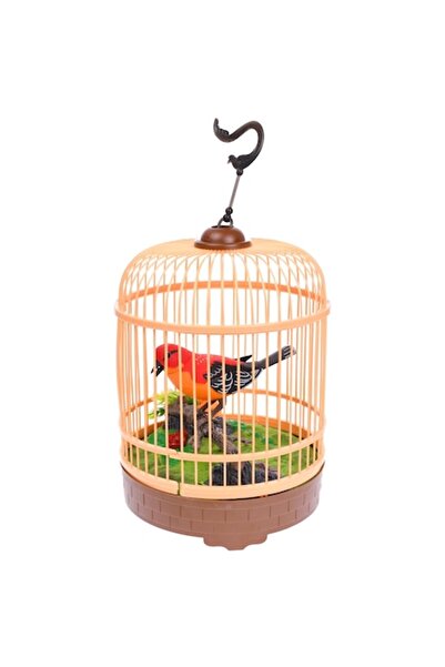 OEM Colivie de jucărie cu pasăre electrică, sunete din natură, multicoloră