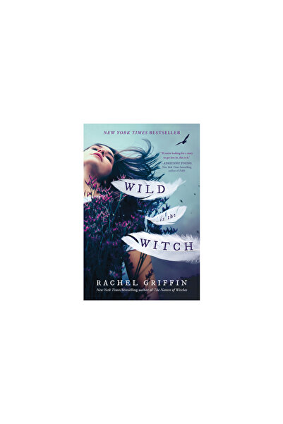 sourcebooks fire Wild Is the Witch