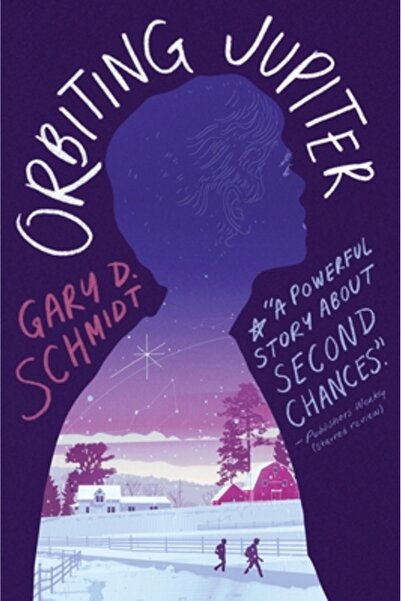 Houghton Mifflin Books For You Orbiting Jupiter