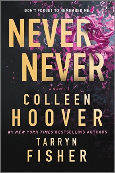 Harlequin Sales Corp Never Never: A Twisty, Angsty Romance