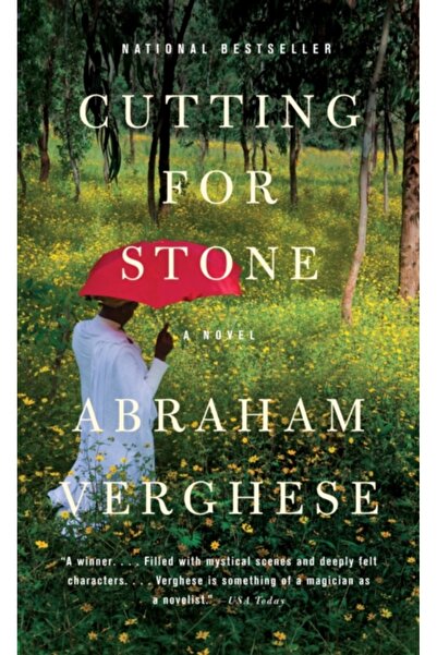 Vintage Books USA Cutting for Stone